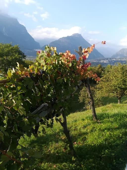 La Casa Nel Prunent Trontano Buitenkant foto